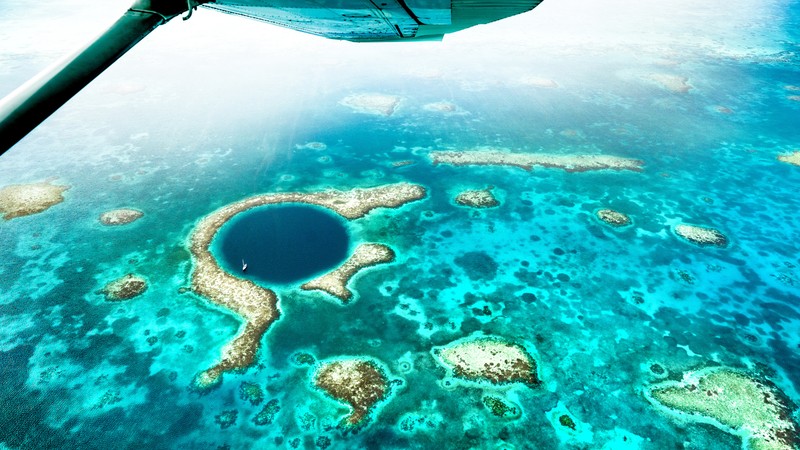 Barrier Reef Night Snorkel