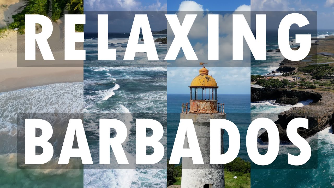 Barbados Photo Safari & Highlights