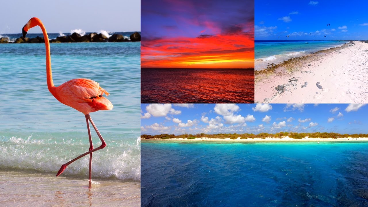 Bonaire Rum Punch Beach Party