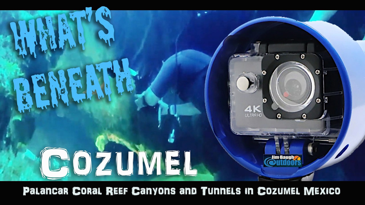 Cozumel Reef Snorkeling by Boat
