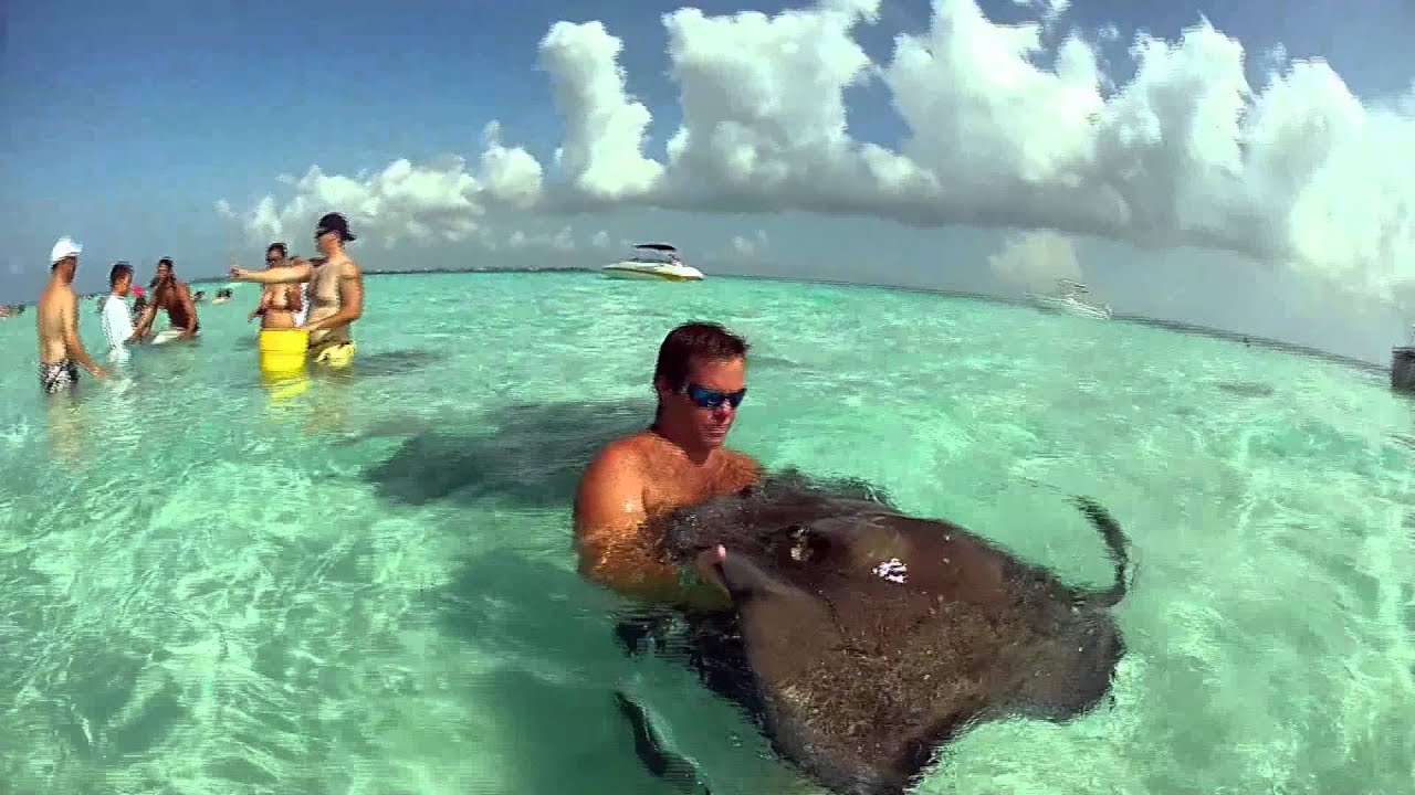 Grand Cayman Reef Snorkeling