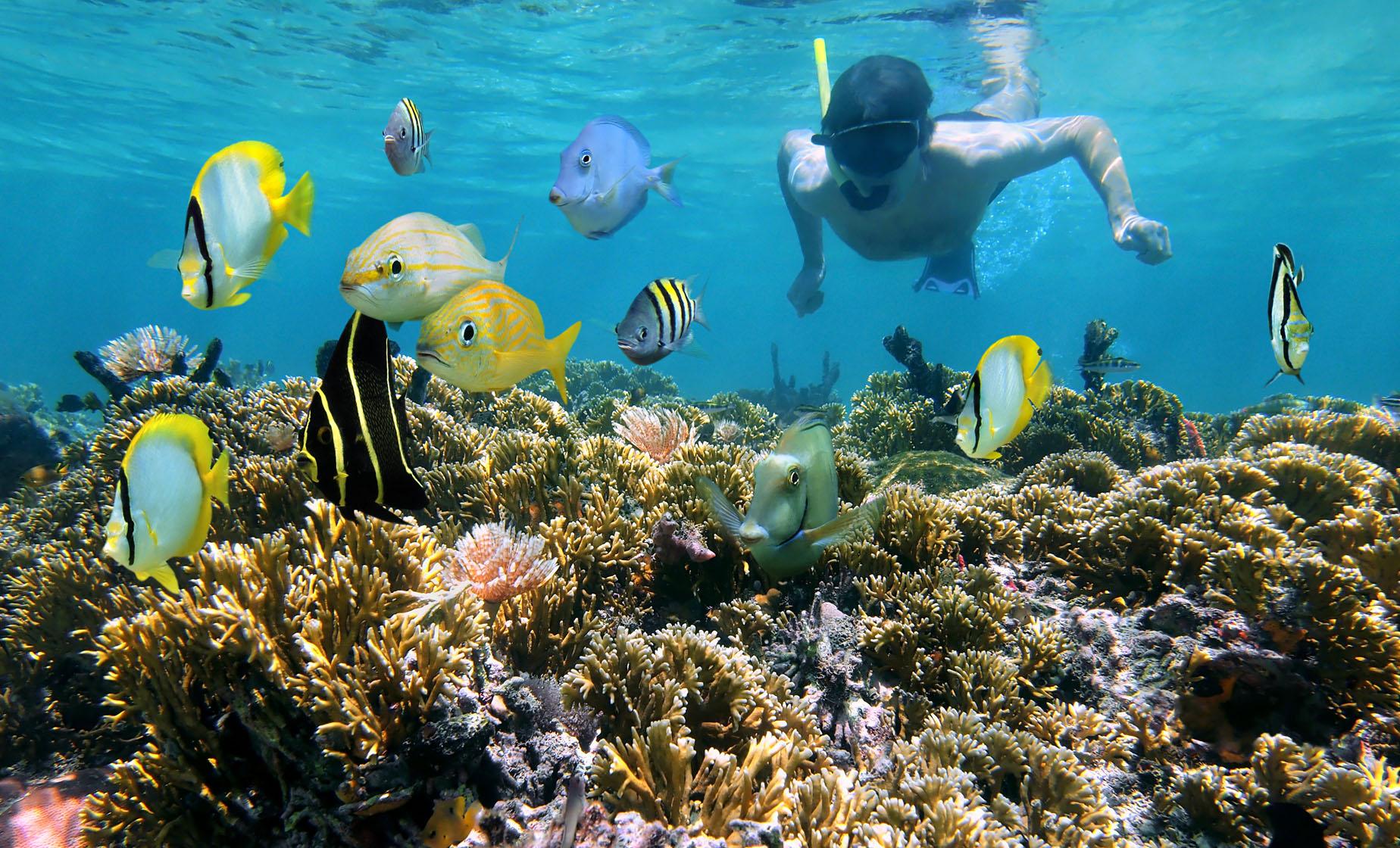 Grand Turk Scuba Diving Two-Tank
