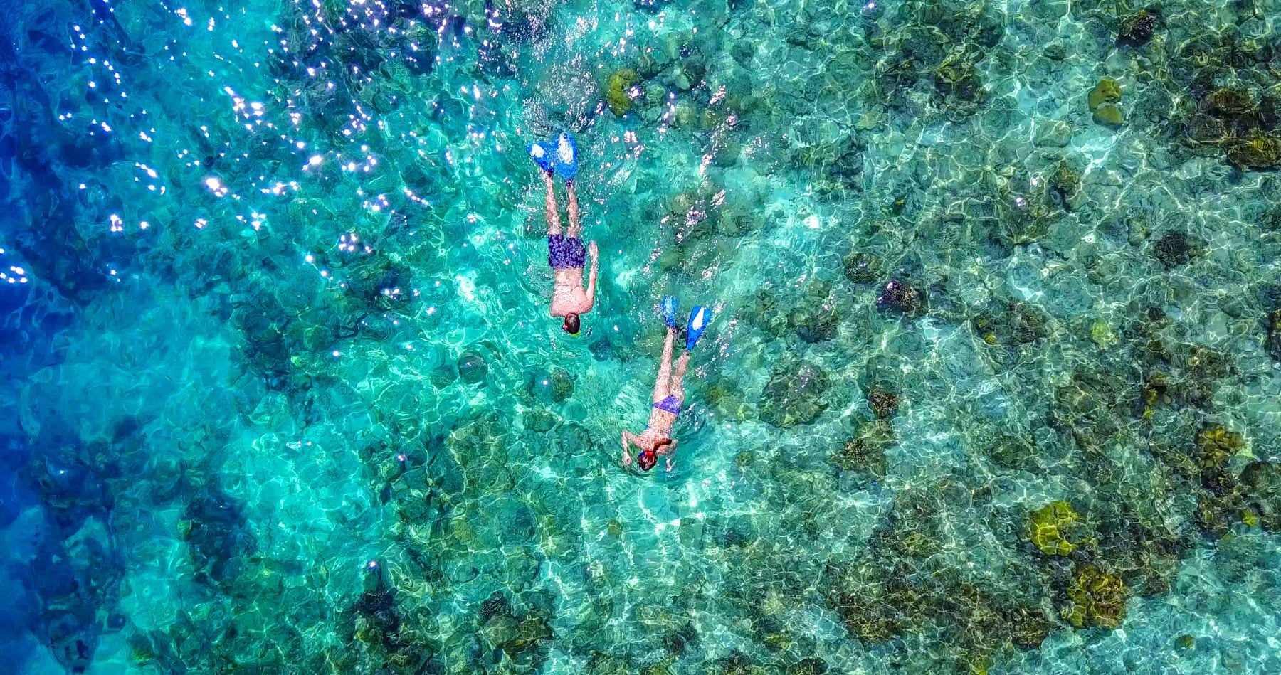 Snuba Reef Dive
