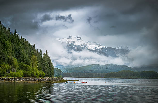 Icy Strait Seaplane Glacier Bay Tour