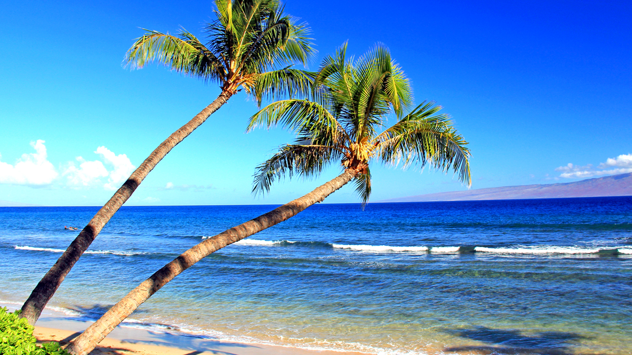 Maui Wailea Beach Walk & Snorkel