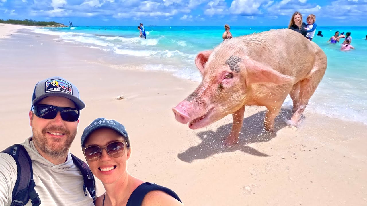 Swimming Pigs Boat Excursion