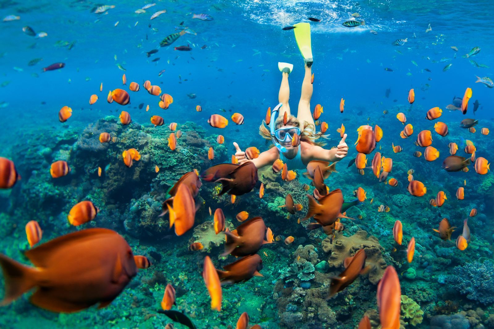 Kauai Scuba Diving Adventure