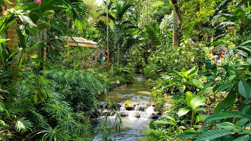 Blue Hole Secret Falls