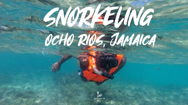 Ocho Rios Night Snorkel