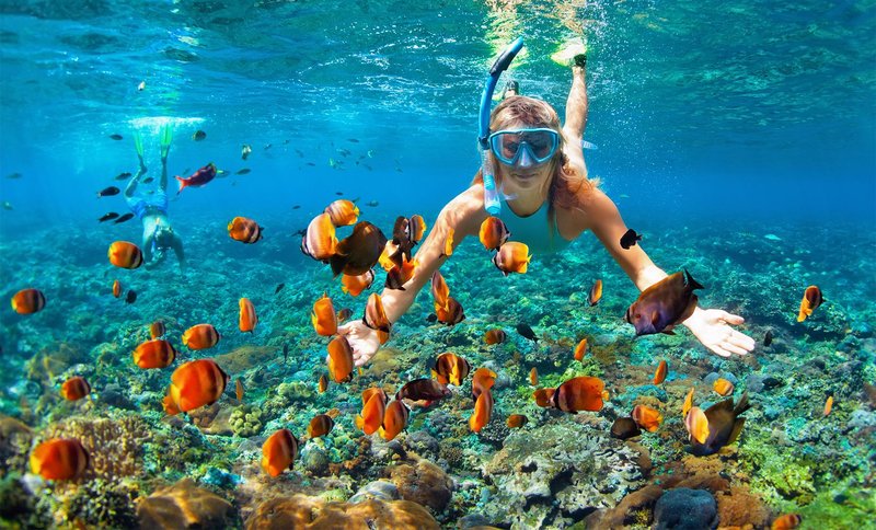 Marietas Islands Snorkel Tour