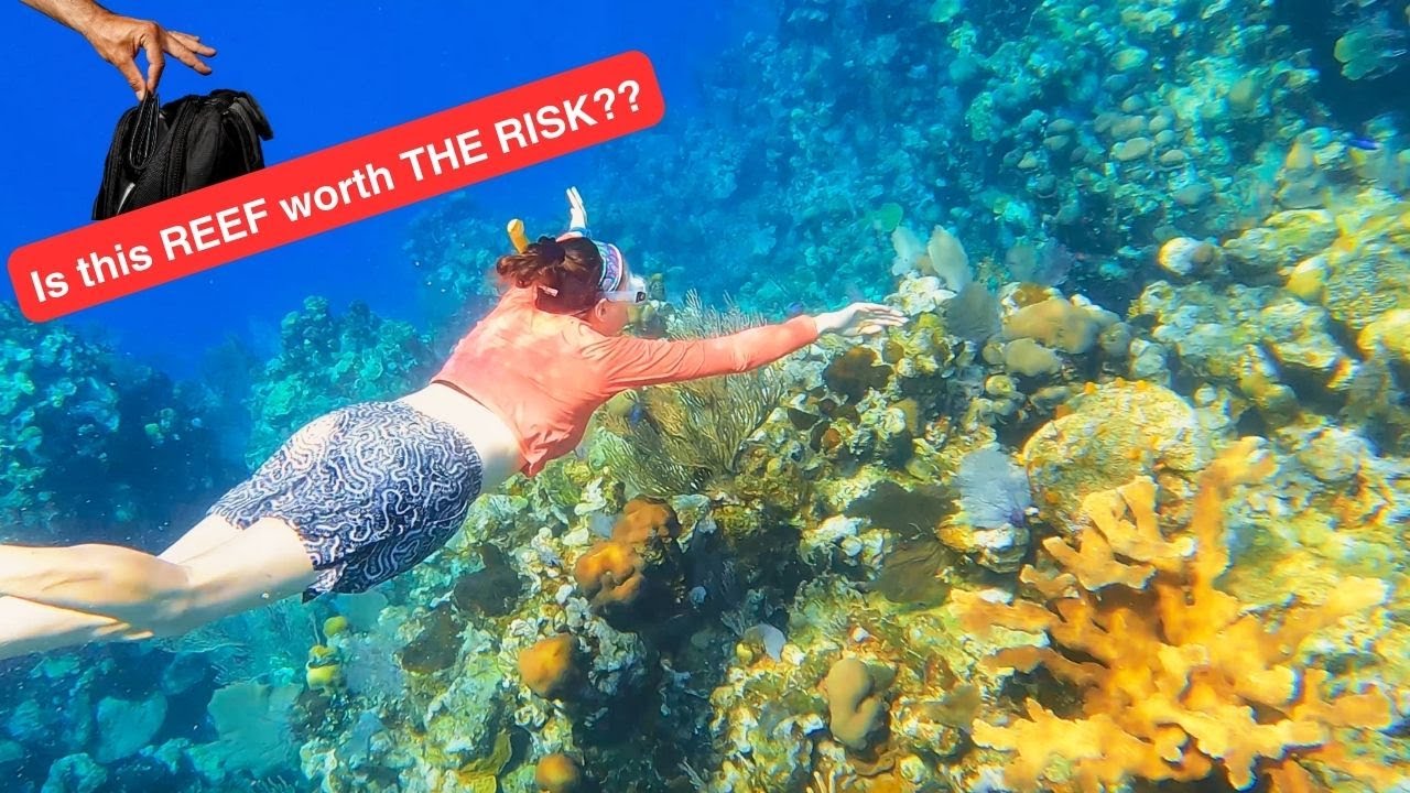 Roatan Reef Snorkeling Adventure