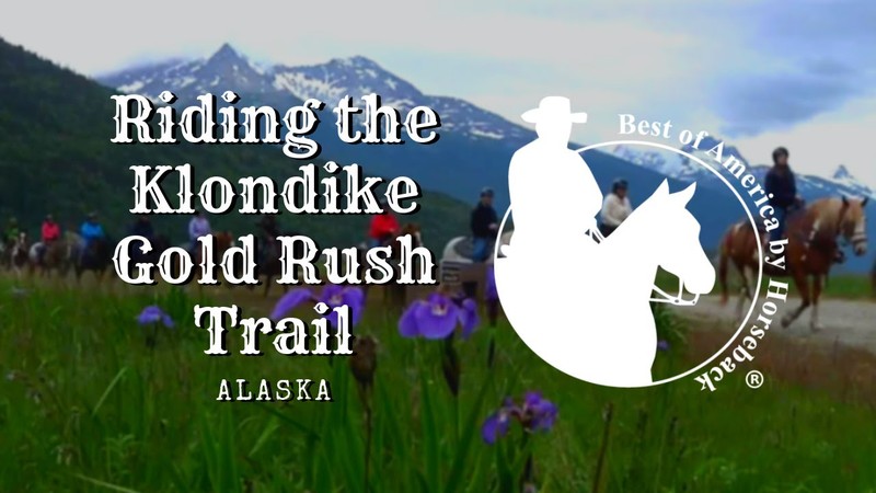 Skagway Horseback Mountain Ride