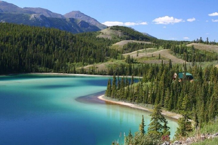 Skagway Nature & Eagle Watch