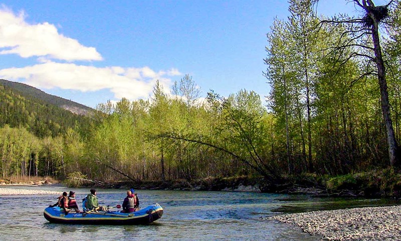Skagway River Kayak & Wildlife