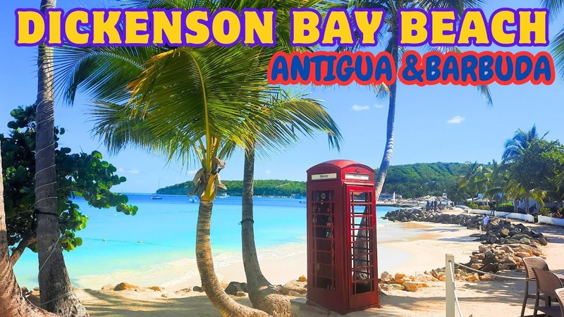 Antigua Yoga & Beach Morning
