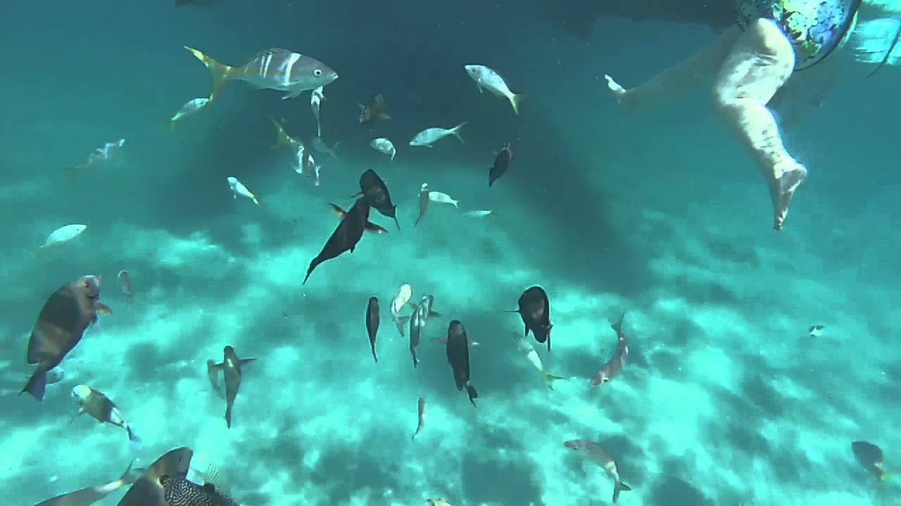 St. Thomas Reef Snorkeling by Boat