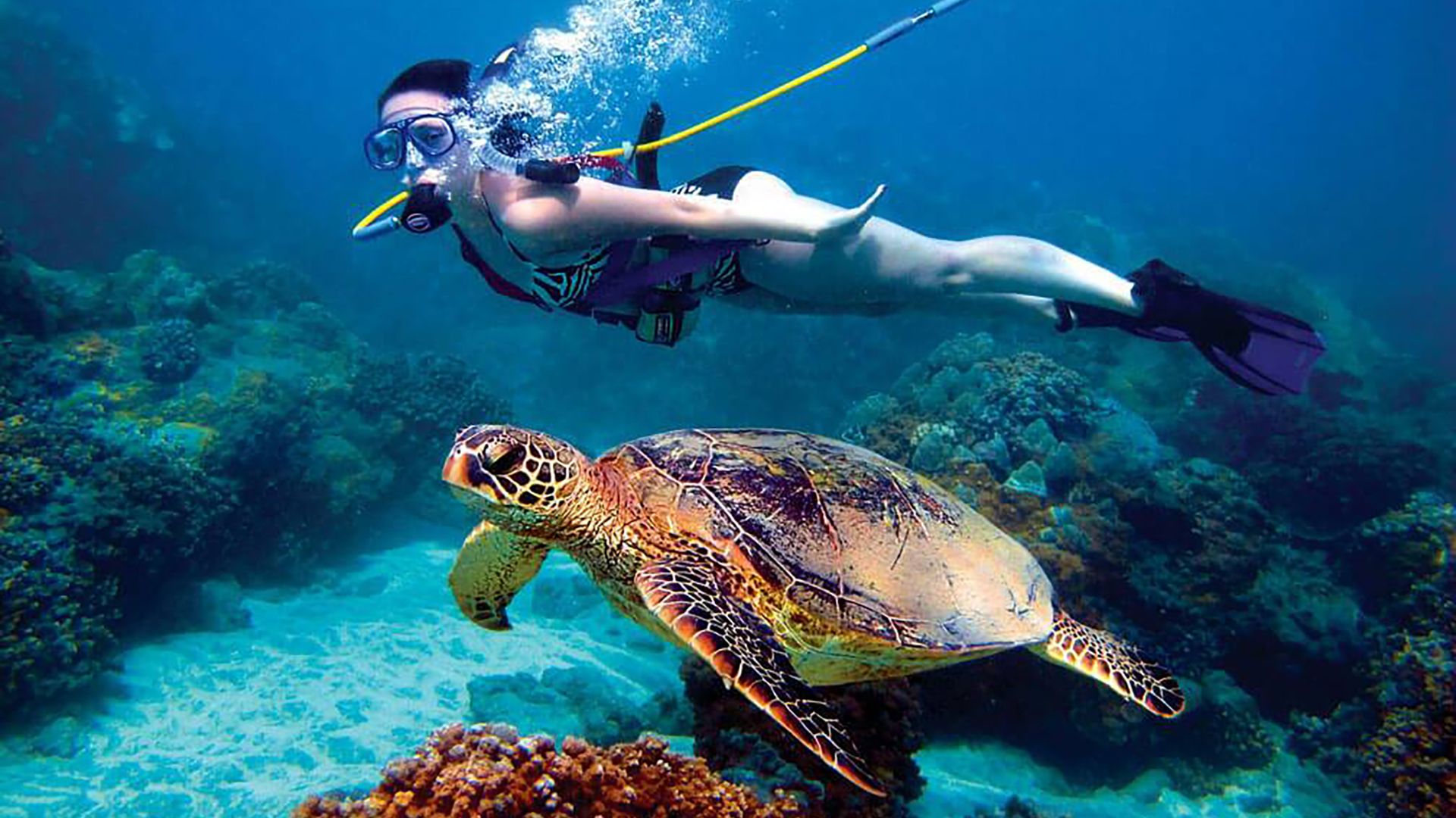 Tortola Scuba Discover Course