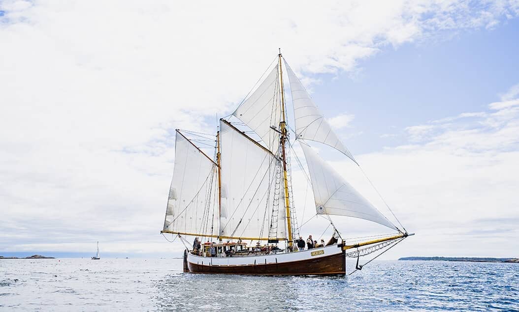 Victoria Private Yacht Harbour Cruise