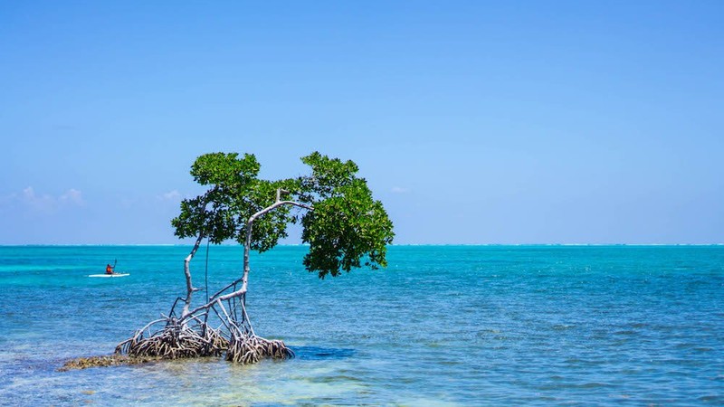 Caye Caulker Island Beach Break