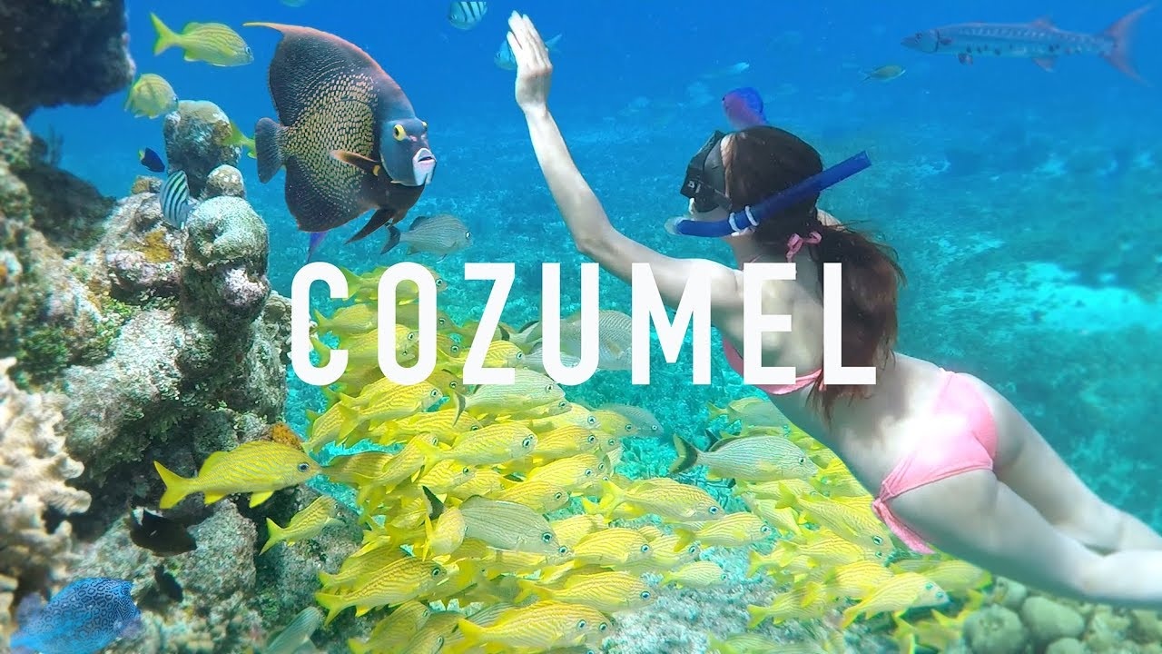 Cozumel Reef Snorkeling by Boat