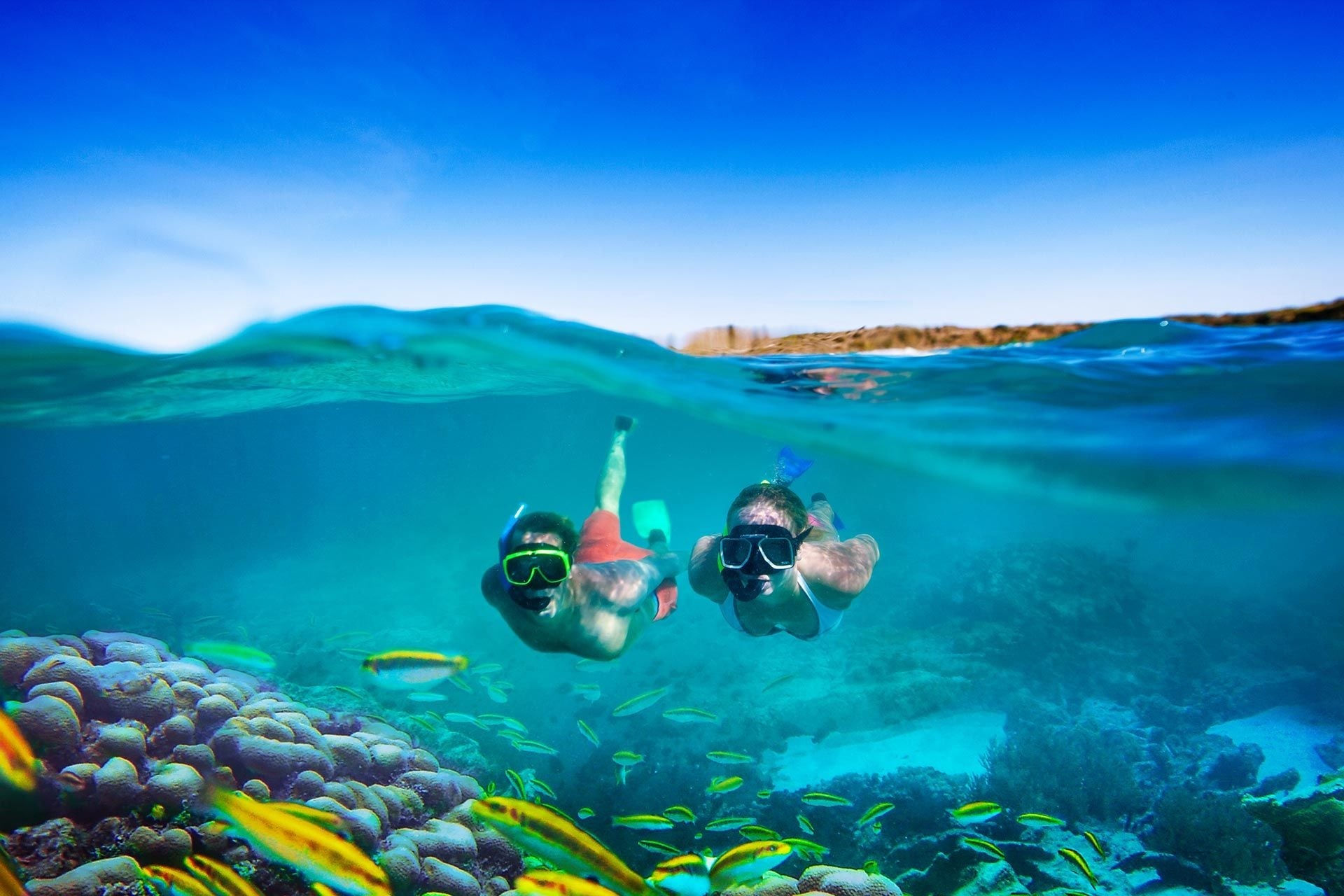Nassau Reef Snorkeling Adventure