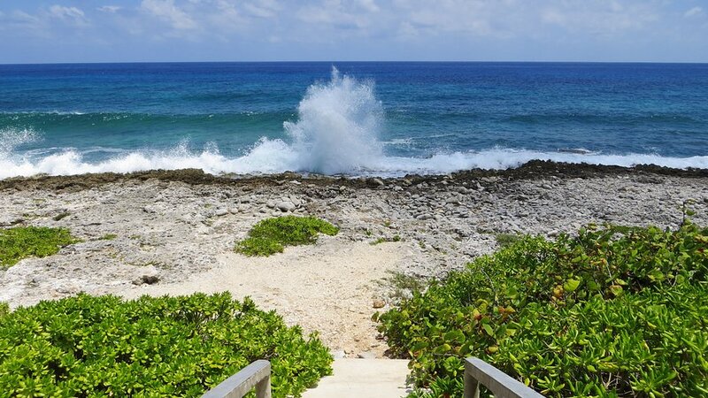 East End Blowholes & Botanic Park