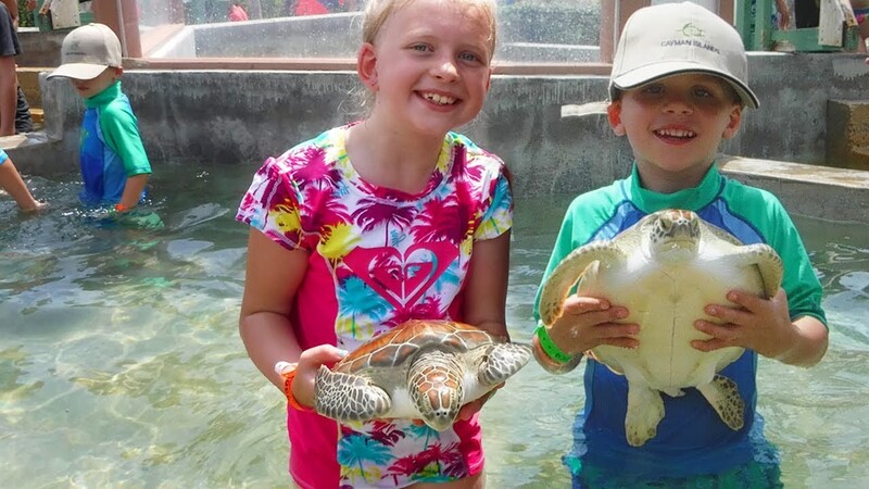 Cayman Turtle Centre Experience