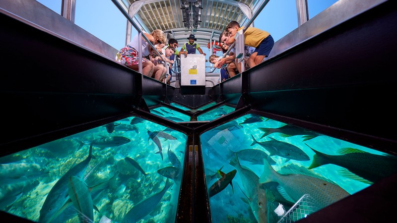 Glass Bottom Boat Reef Tour