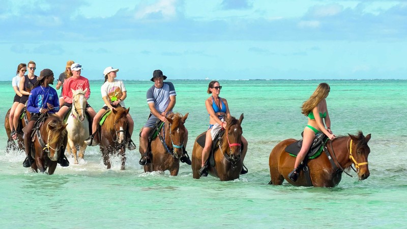 Horseback Beach Ride
