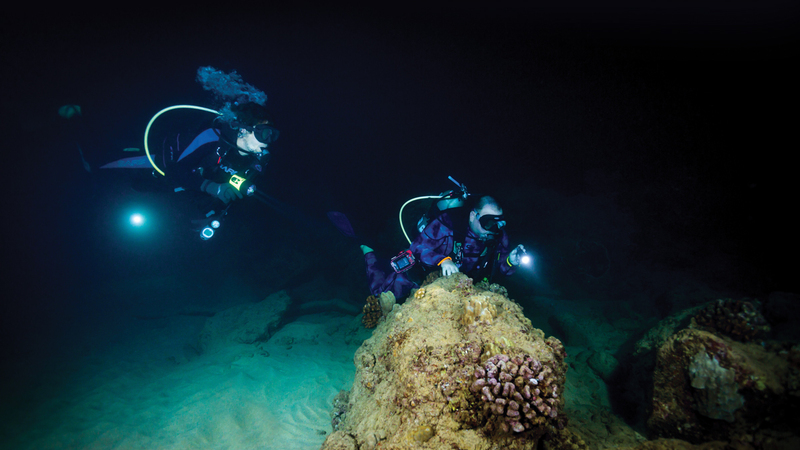 Night Dive on the Wall