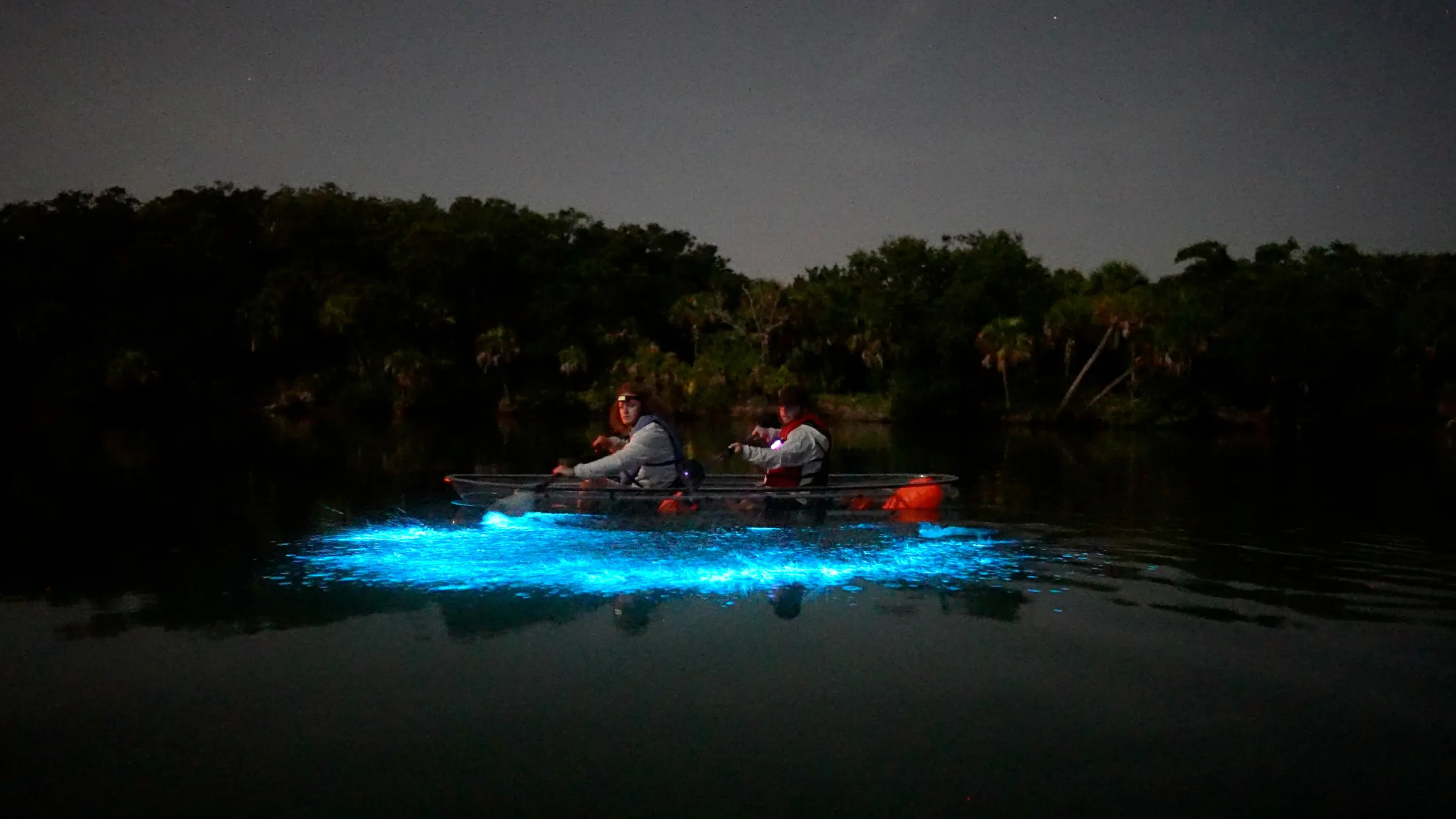 Grand Cayman Bioluminescent Kayak Tour