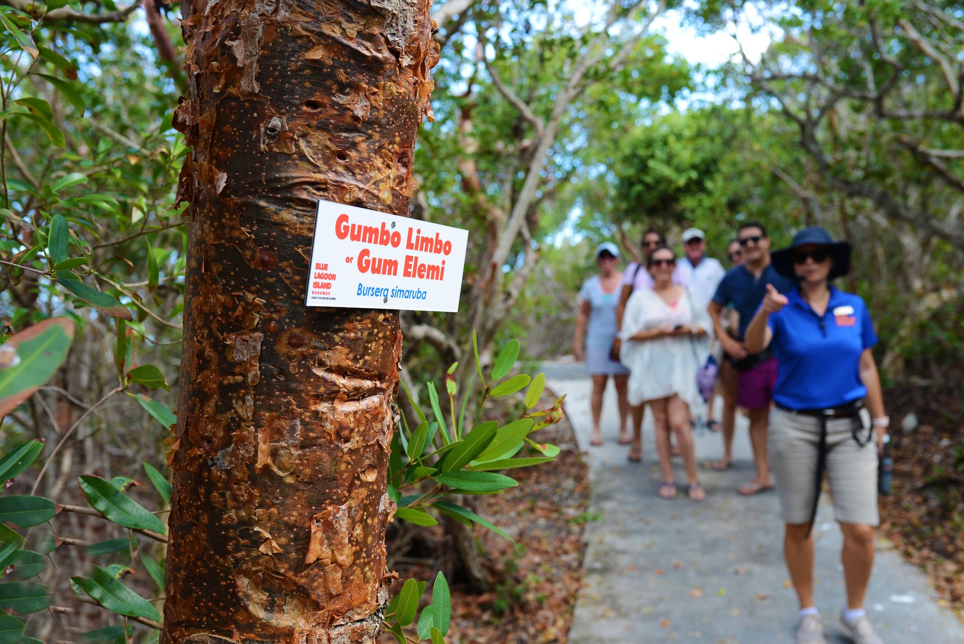 Island Nature Walk