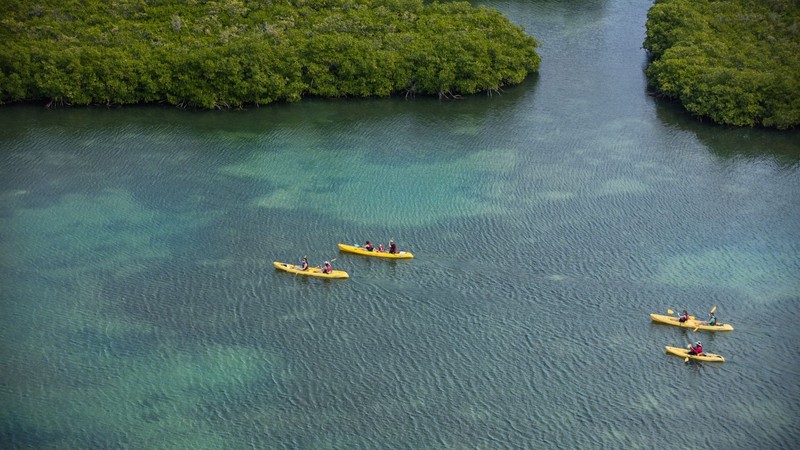 Kayak & Snorkel Mangrove Tour