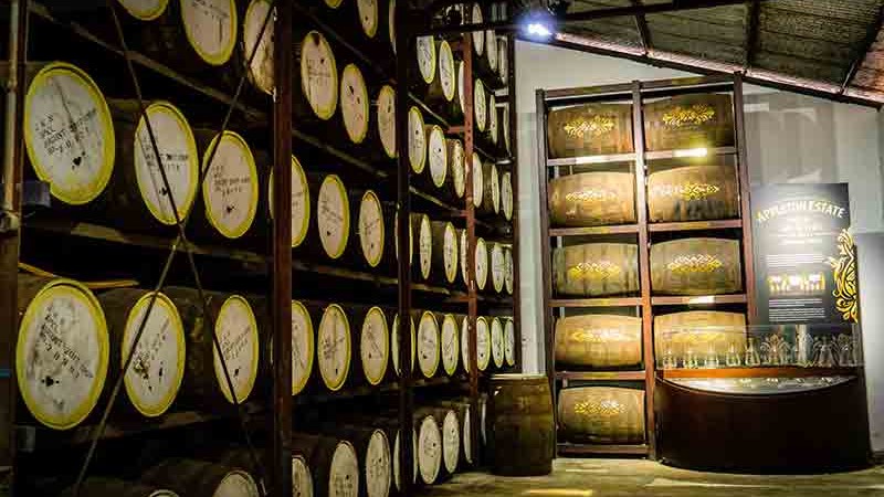 Appleton Estate Rum Tour