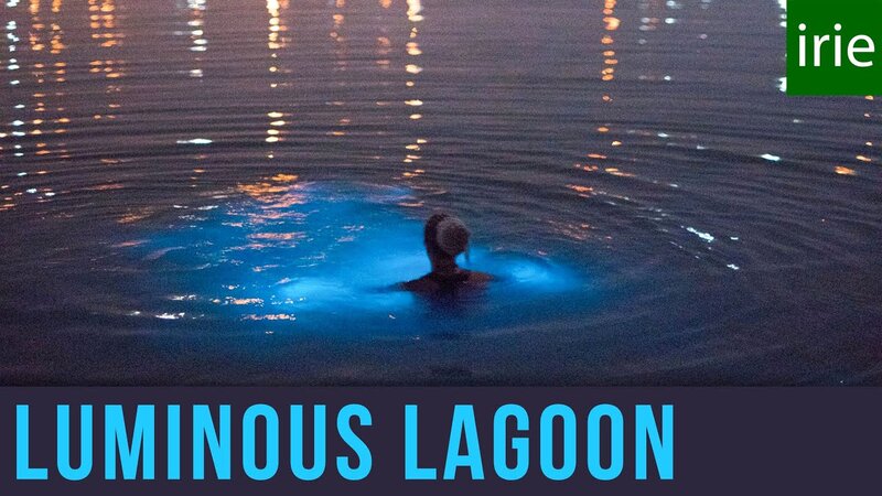 Luminous Lagoon Glow Tour