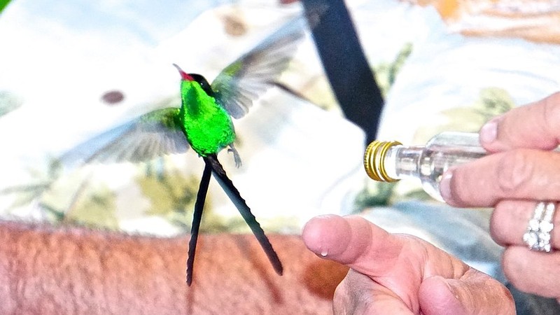 Rocklands Bird Sanctuary