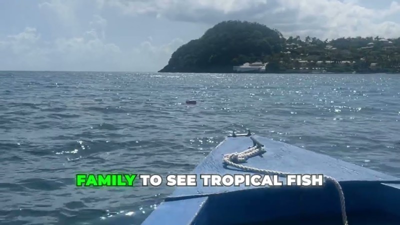 Glass Bottom Boat & Reef Tour