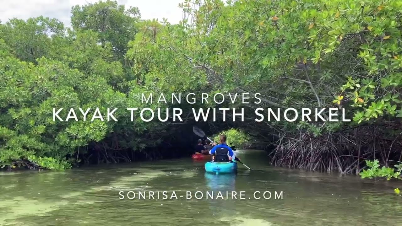 Bonaire Sea Kayak Sunset Tour
