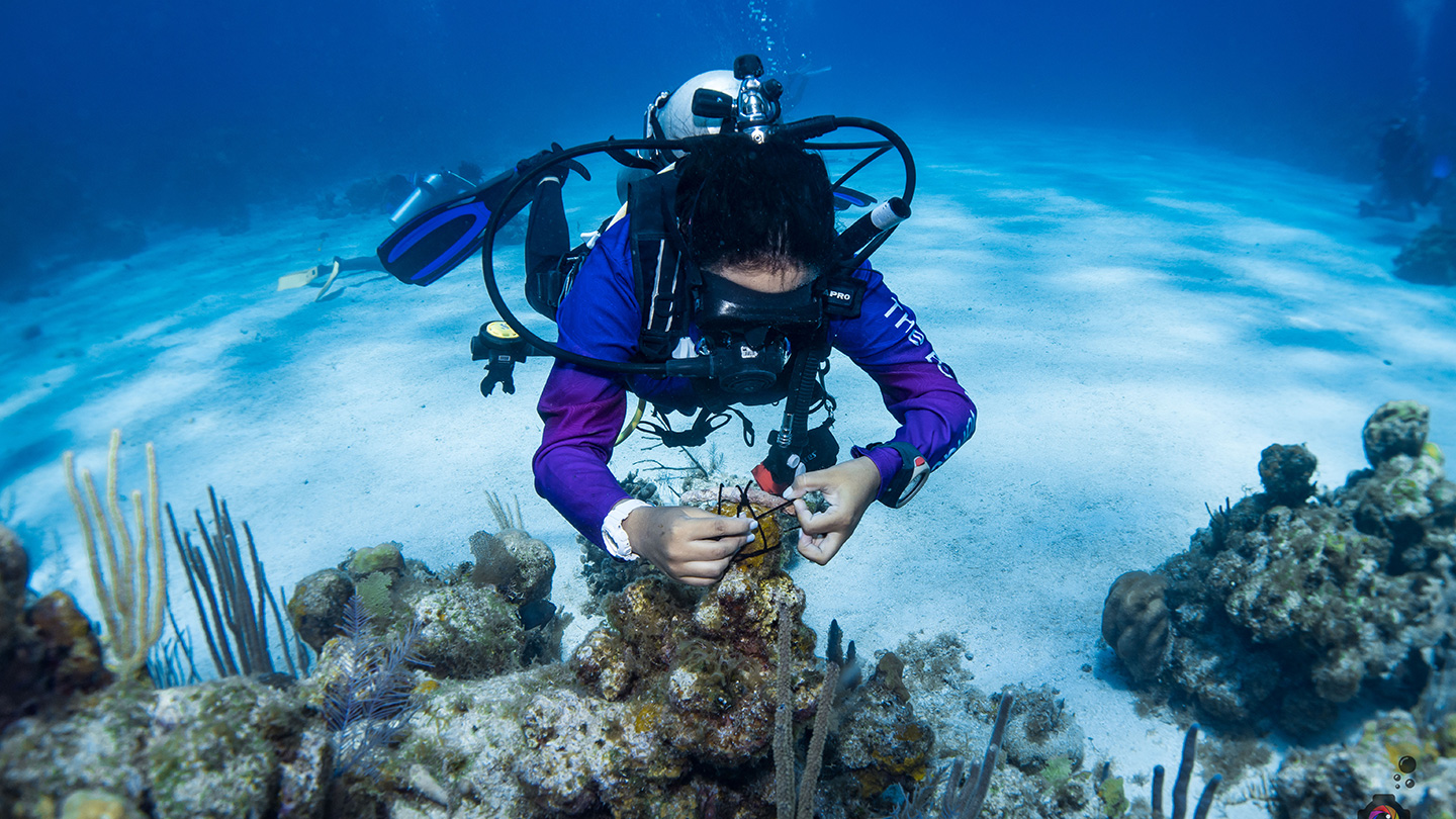 Aruba Scuba Discover Course