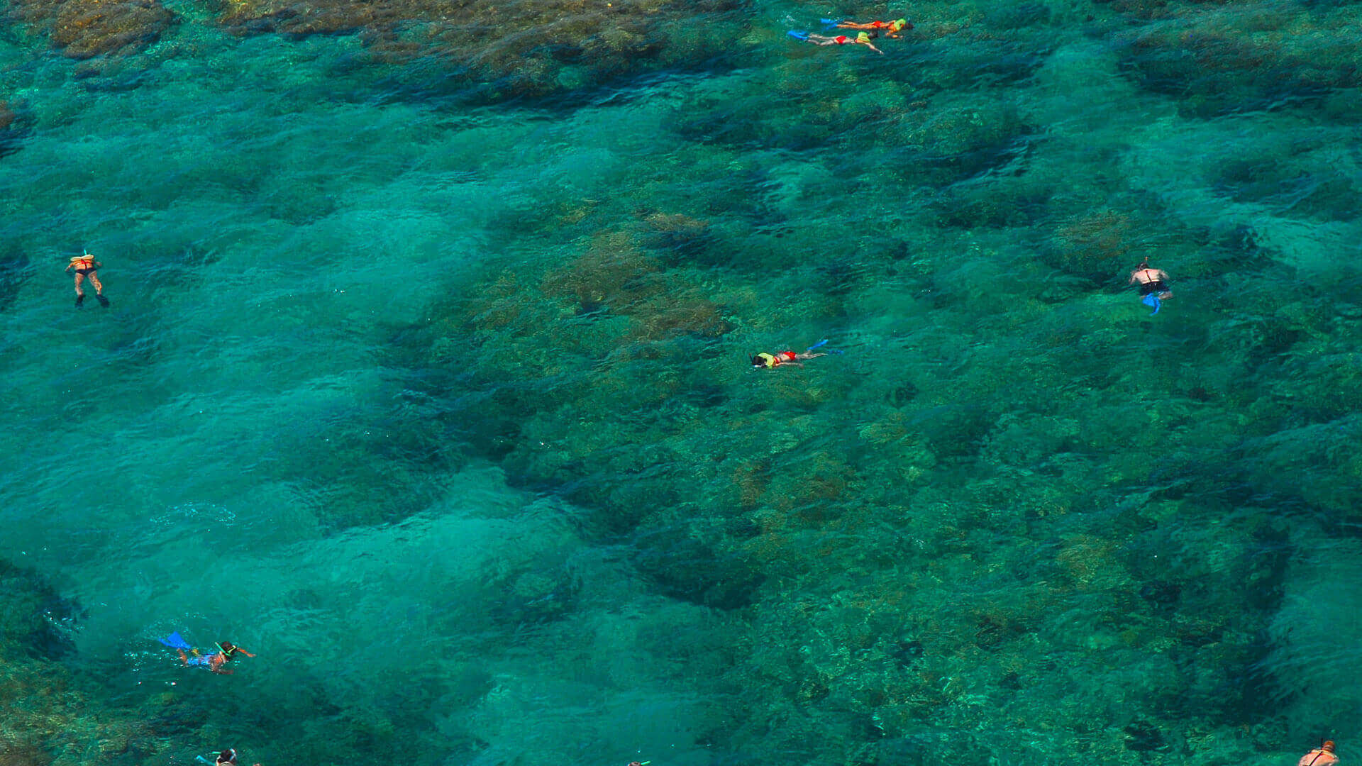 Key West Aquarium & Marine Life
