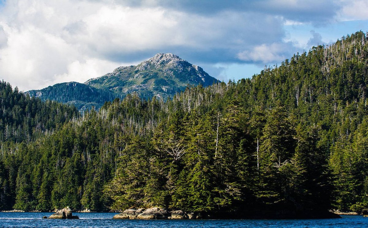 Ketchikan Deer Mountain Hike