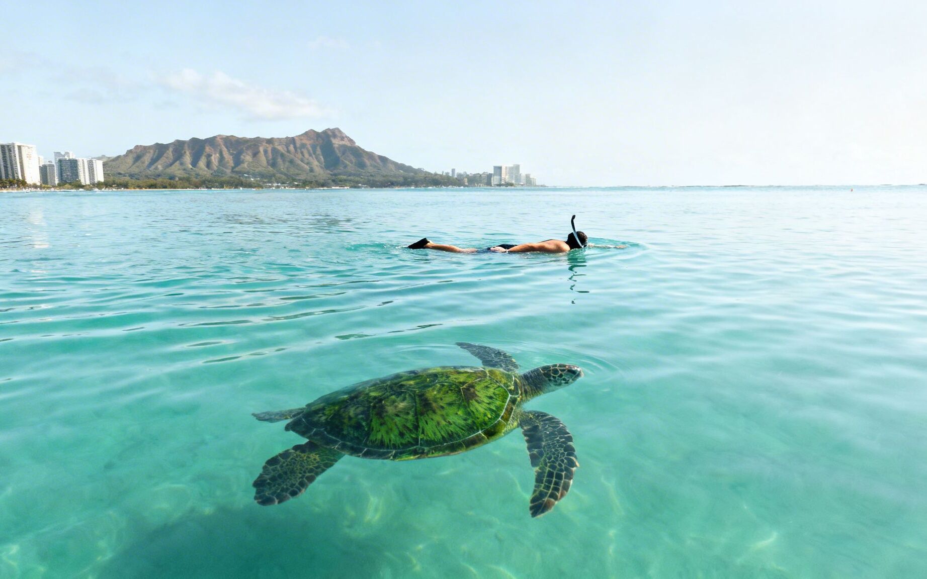 Maui Submarine Reef Adventure