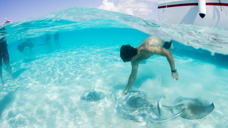 Stingray City Antigua