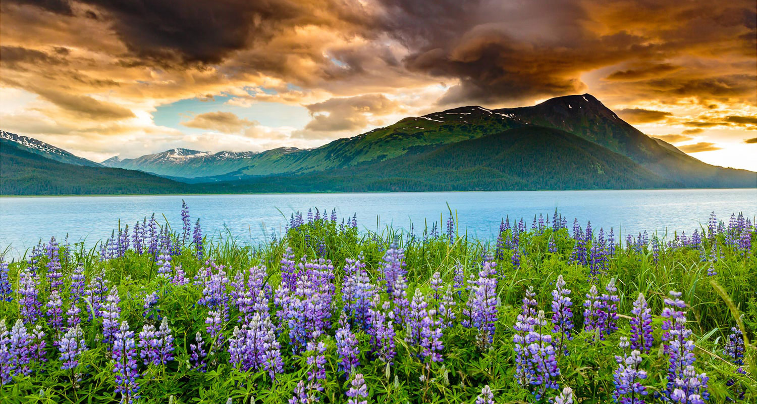 14-Day Great Alaska Explorer cruise itinerary