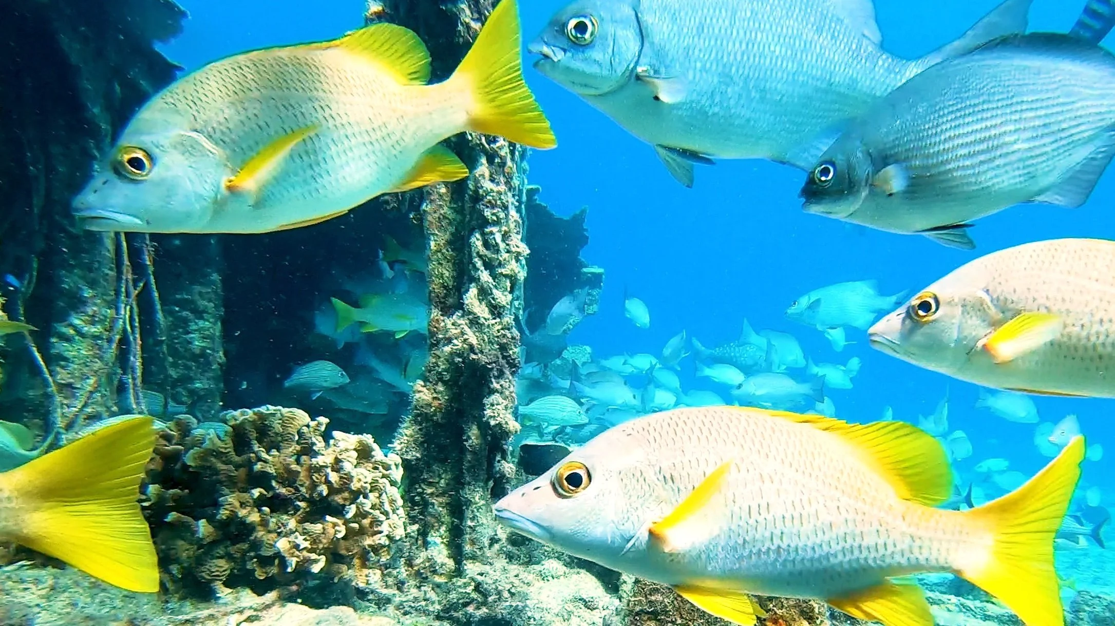 10-Night Caribbean Explorer cruise itinerary