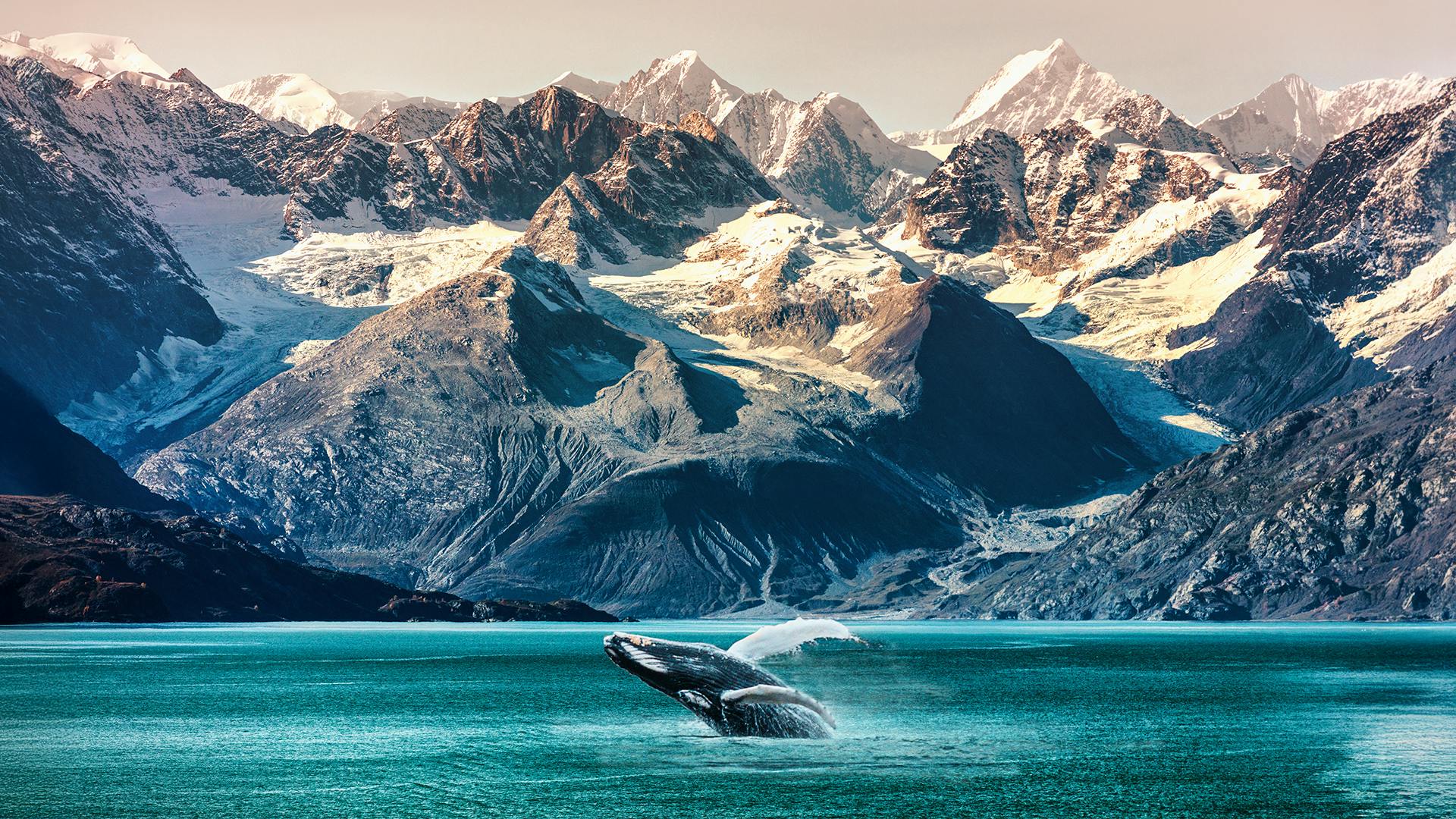 7-Night Alaska Inside Passage cruise itinerary